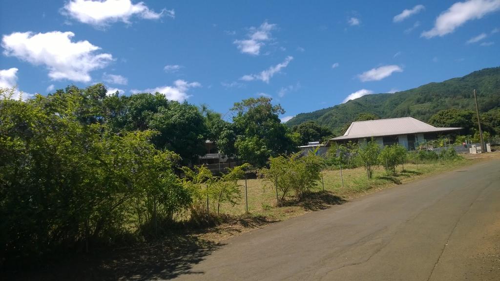 Les Bungalows Du Mont-Auban Sainte-Clotilde Exteriör bild