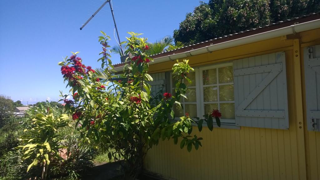 Les Bungalows Du Mont-Auban Sainte-Clotilde Exteriör bild