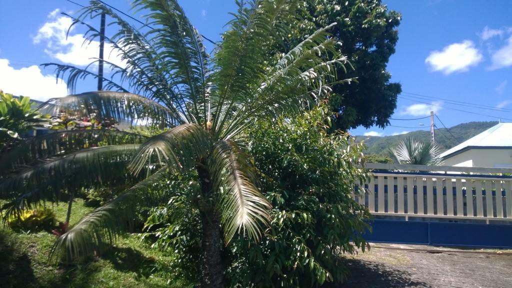 Les Bungalows Du Mont-Auban Sainte-Clotilde Exteriör bild