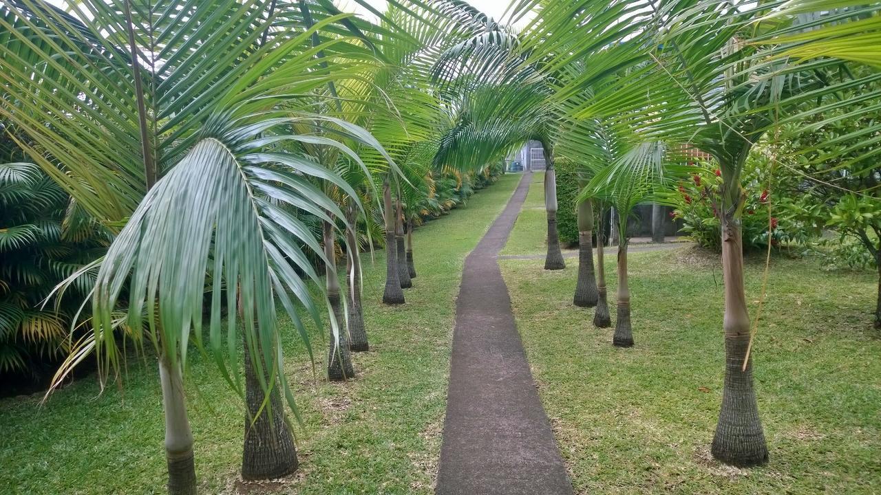 Les Bungalows Du Mont-Auban Sainte-Clotilde Exteriör bild
